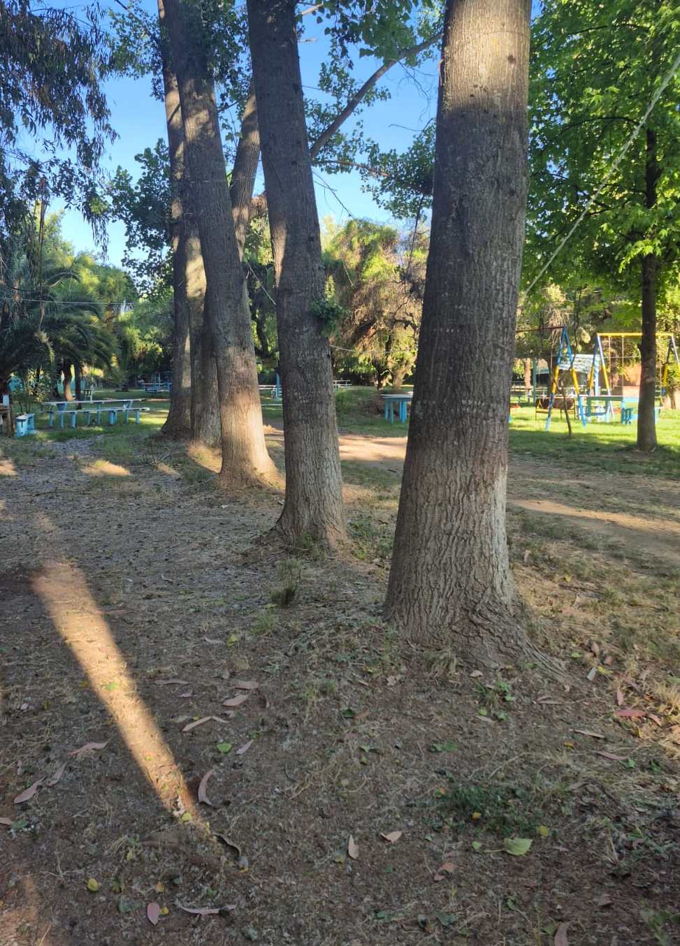 Camping familiar