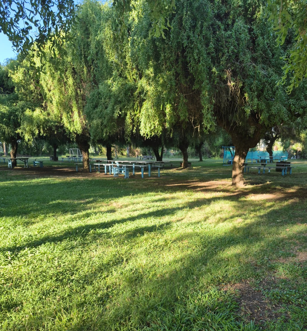 Camping familiar